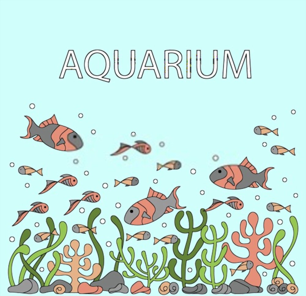 Creative Aquarium Nation